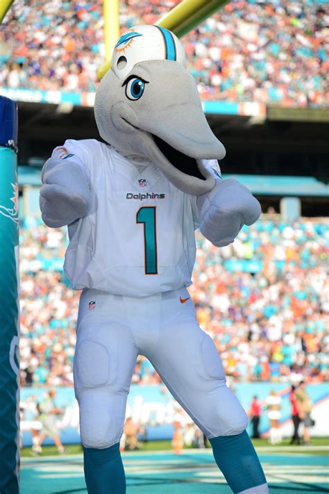 Dolphin mascot outfit